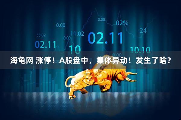 海龟网 涨停！A股盘中，集体异动！发生了啥？