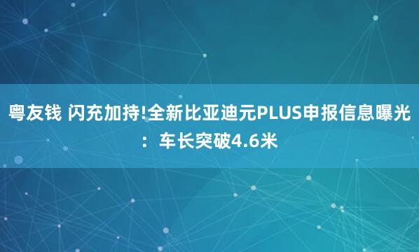 粤友钱 闪充加持!全新比亚迪元PLUS申报信息曝光：车长突破4.6米